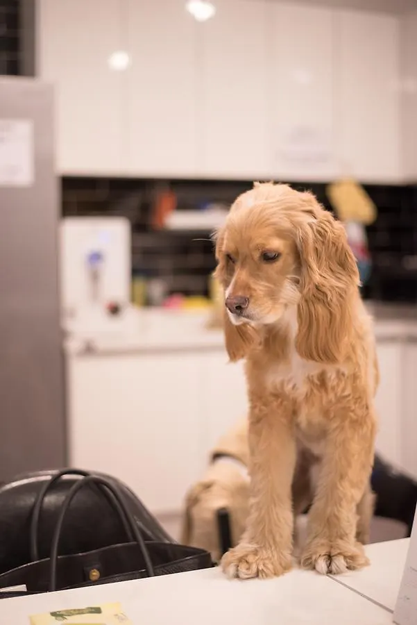 Hotel Mozzi Hostel Ciudad Metropolitana de Ciudad Metropolitana de Busan